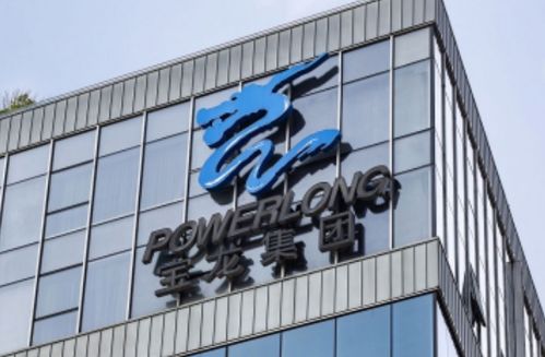 寶龍實業 未能如期支付 21寶龍01 5000萬元本金,獲30天寬限期